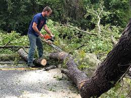  , USA Tree Care Pros